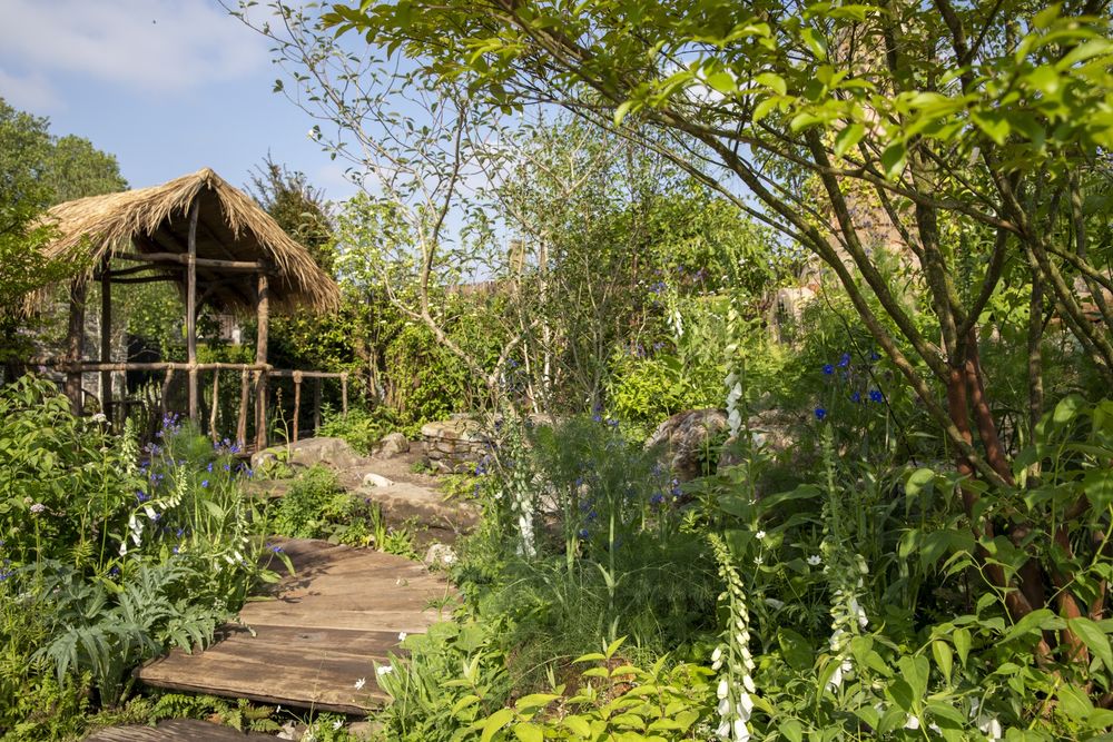 2024切尔西花园展获奖作品 / Royal Horticultural Society