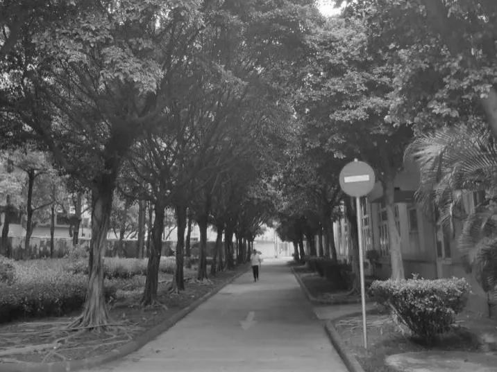 广州“红双喜”烟厂旧址改造，不只是科技园区 | 1906科技园扬韬广场