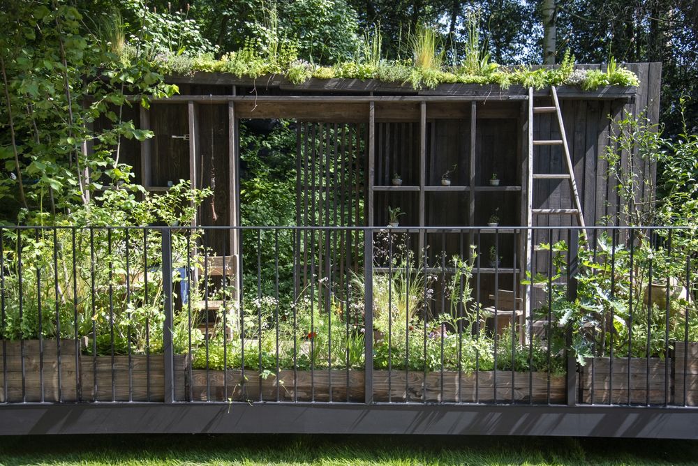 2024切尔西花园展获奖作品 / Royal Horticultural Society