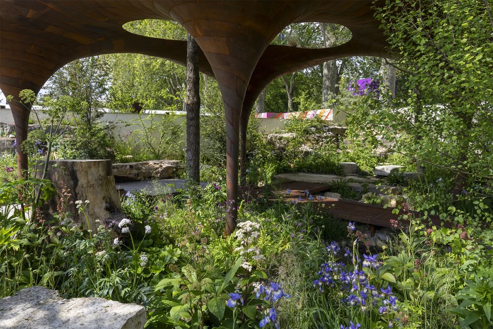 2024切尔西花园展获奖作品 / Royal Horticultural Society