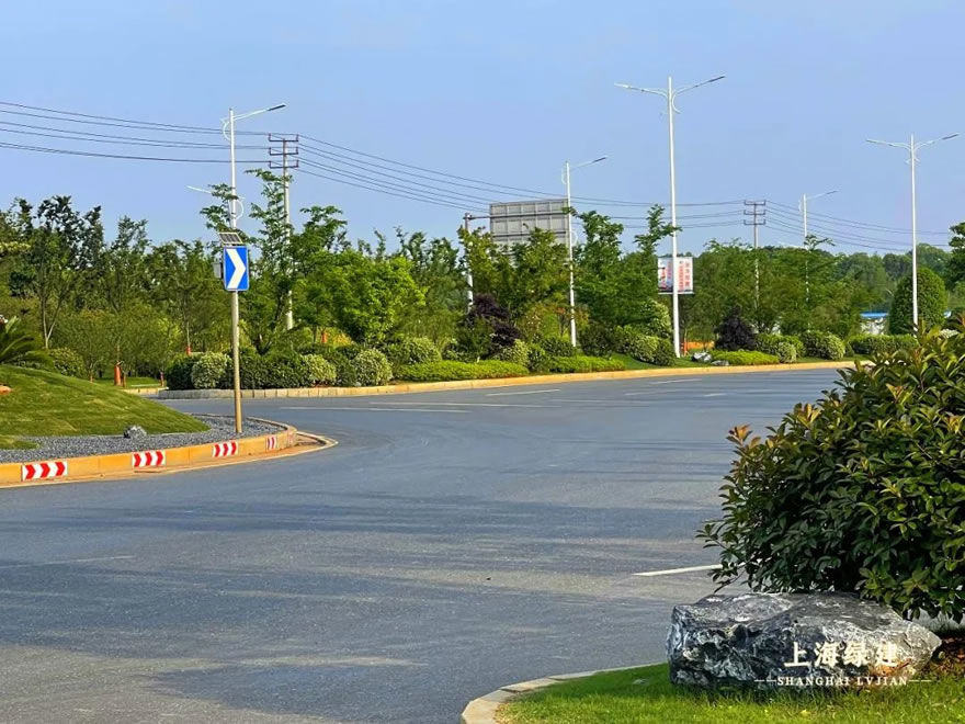 新余市钟灵大道景观提升 | 唯美大气的欧式花海景观