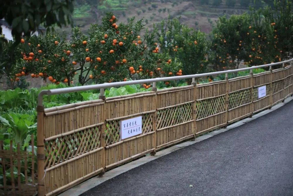 重庆东桥村 | 乡村适老化改造的典范
