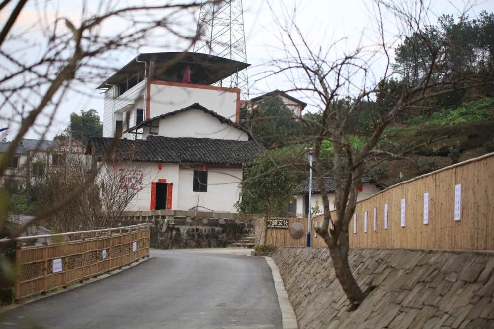 重庆东桥村 | 乡村适老化改造的典范