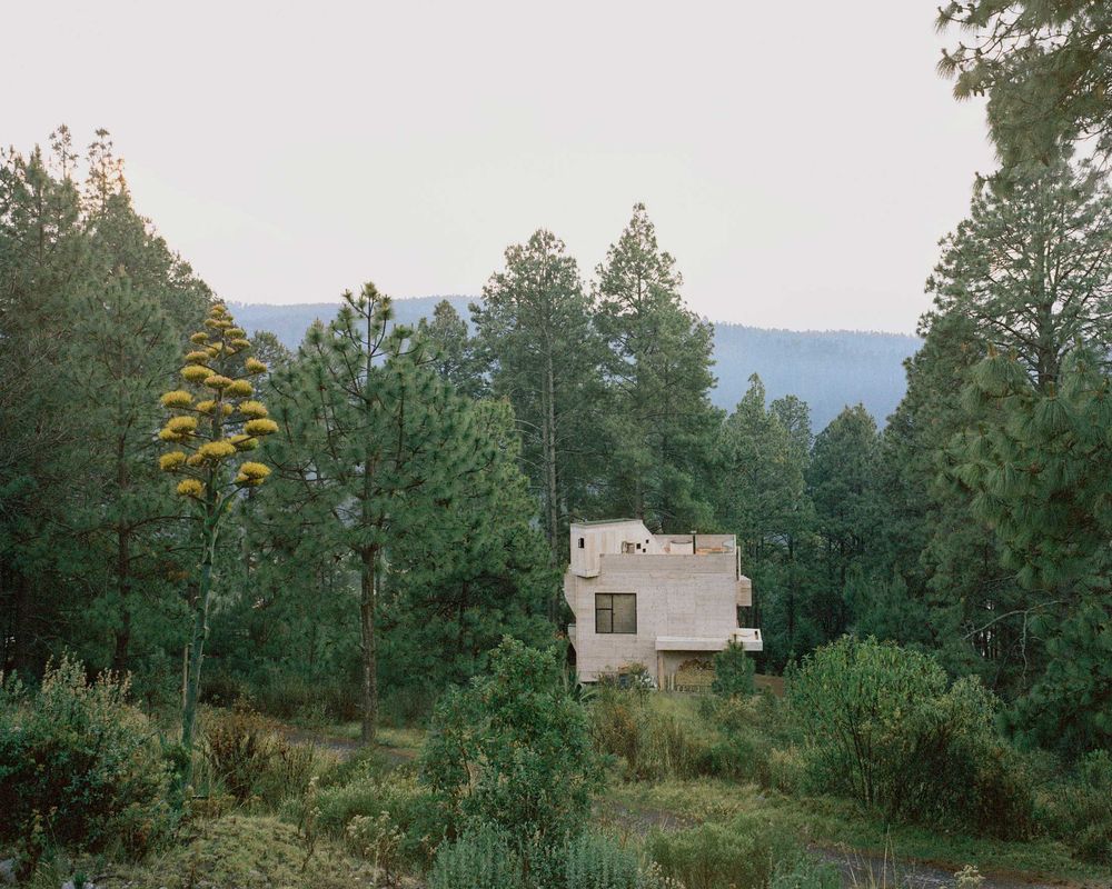 Redefining a Cabin in the Woods: Casa Alferez by Ludwig Godefroy Architecture.