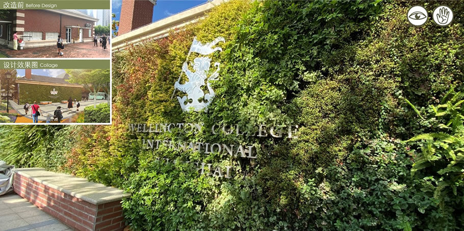 上海惠灵顿国际学校 | 用设计让孩子们拥抱自然