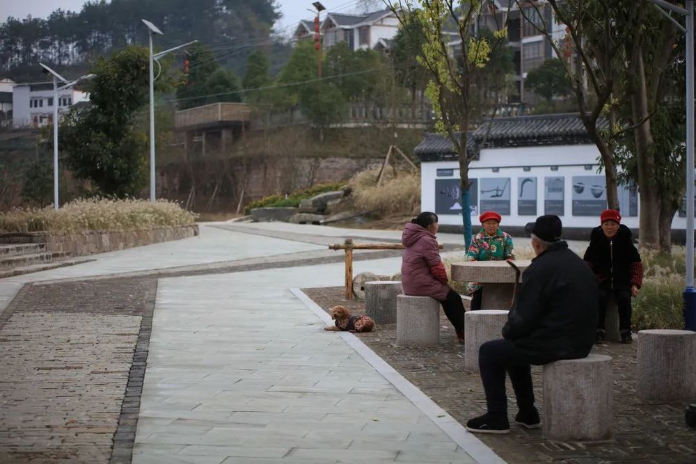 重庆东桥村 | 乡村适老化改造的典范