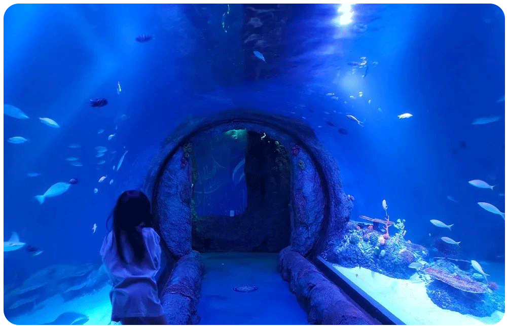 儿童体验驱动的家庭型购物中心设计探析