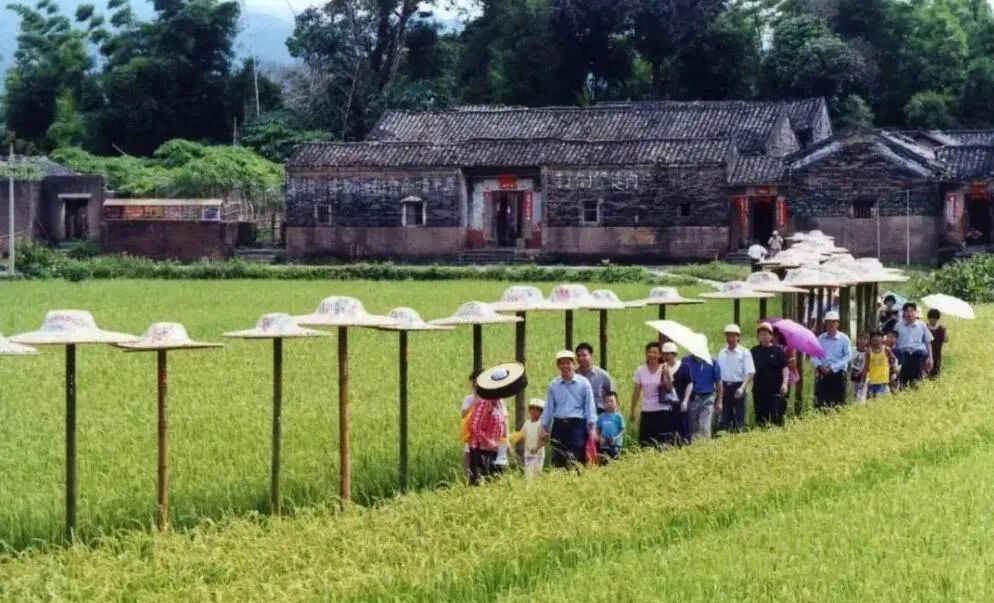 乡村文旅项目设计 | 以地域文化为魂，优化游客体验