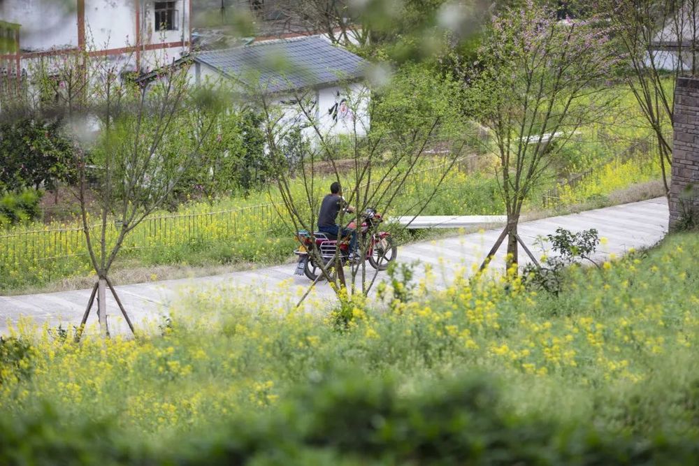 重庆东桥村 | 乡村适老化改造的典范