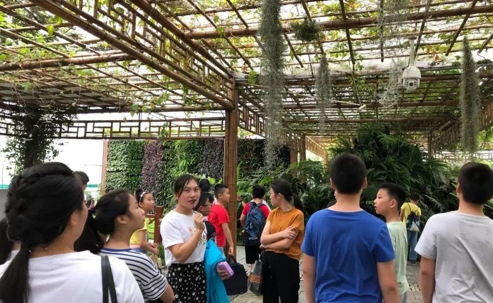乡村文旅项目设计 | 以地域文化为魂，优化游客体验