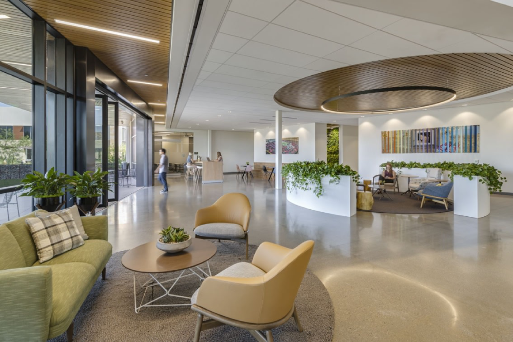 Donor Network of Arizona Offices by Shepley Bulfinch