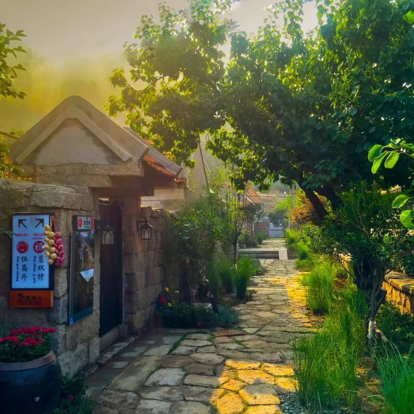 东麦窑社区 | 美丽乡村振兴新标杆