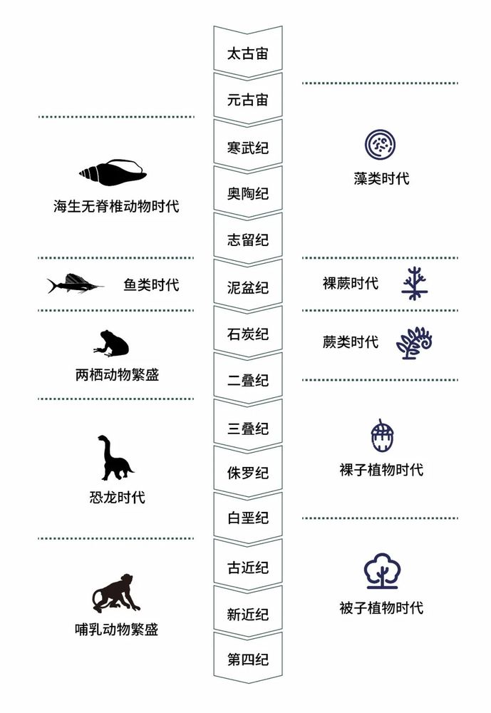 蝶恋花 | 自然生态的浪漫与现实