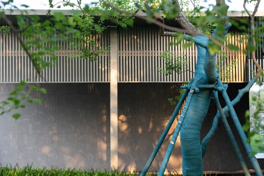 苏州中铁建·花语云萃 | 自然与现代交融的景观设计