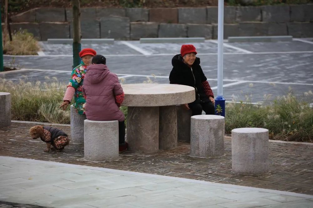 重庆东桥村 | 乡村适老化改造的典范