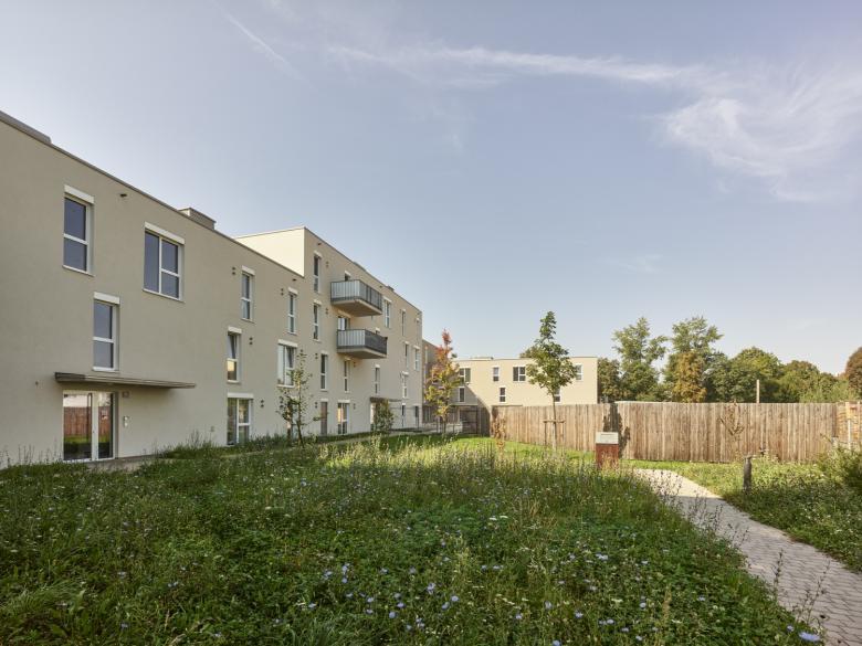 Bogenfeld Architektur丨Wohnpark Trattnach丨奥地利
