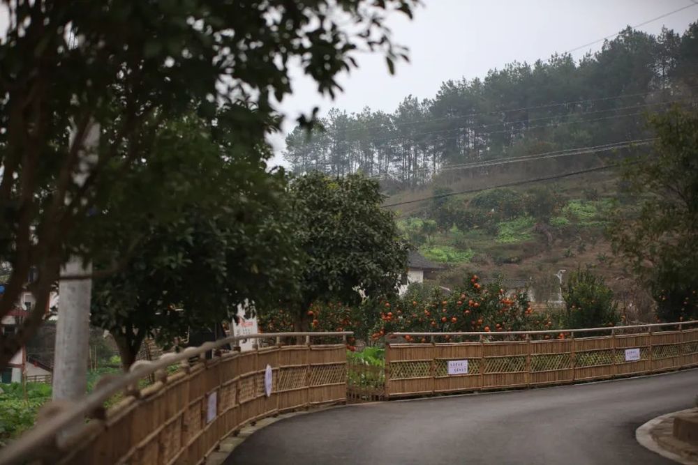 重庆东桥村 | 乡村适老化改造的典范