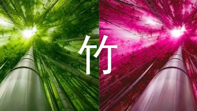 春熙路 HONGU 概念店 | 艺术与技术的融合