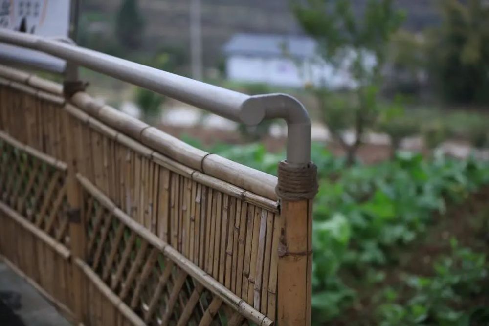 重庆东桥村 | 乡村适老化改造的典范