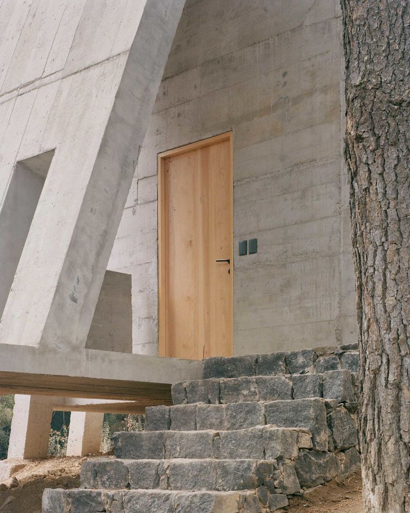 Redefining a Cabin in the Woods: Casa Alferez by Ludwig Godefroy Architecture.
