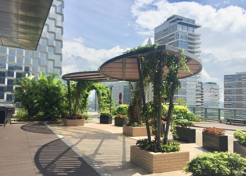 天台花园设计案例效果图