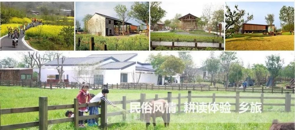 乡村文旅项目设计 | 以地域文化为魂，优化游客体验