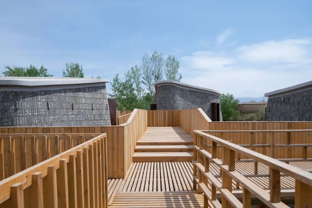 西窑头村乡村振兴 | 从空心村到社区农场的华丽蜕变