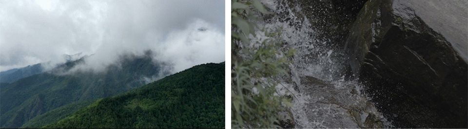 大理洱海生态廊道 | 自然科普与生态修复的完美结合