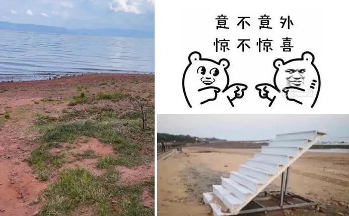 乡村文旅项目设计 | 以地域文化为魂，优化游客体验