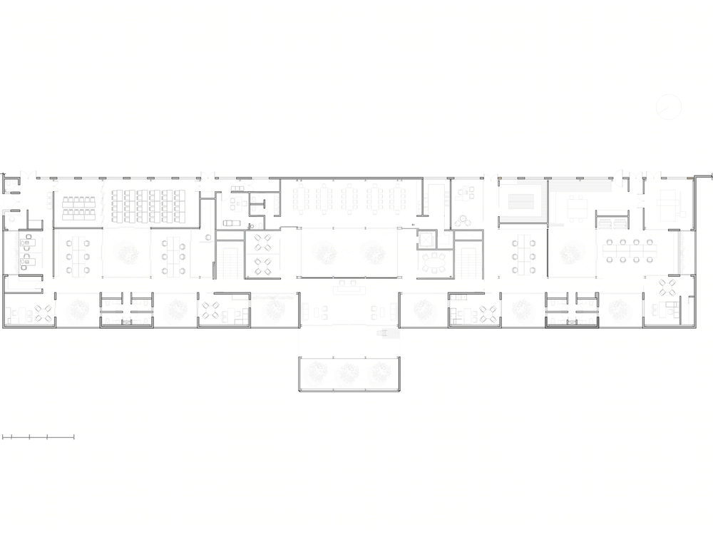 Envases Microonda 办公建筑 | 灵活布局与绿色环境的完美融合