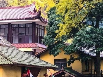 川西林盘招商推介会，设计点亮公园城市大邑