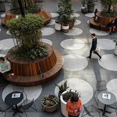 悉尼 CBD“城市绿洲”办公景观设计