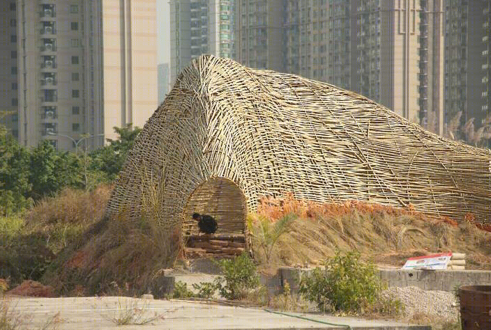 深圳“昆虫竹子景观”诠释废弃工地新生