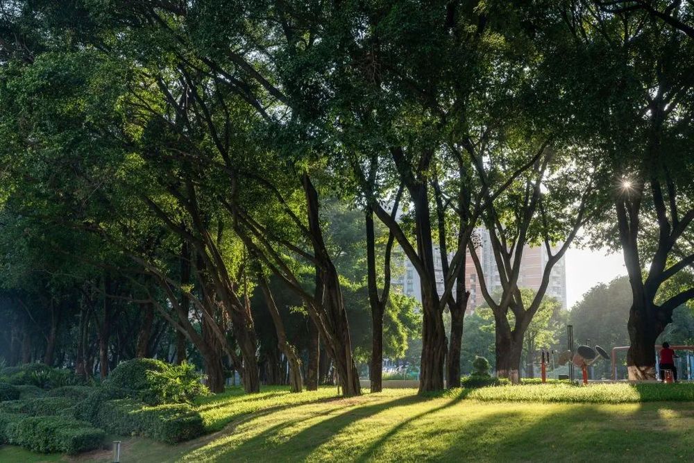 广州中海·荔府 | 豪华度假式的园林景观设计