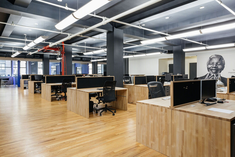 纽约 Andela 办公室，科技与自然的和谐融合