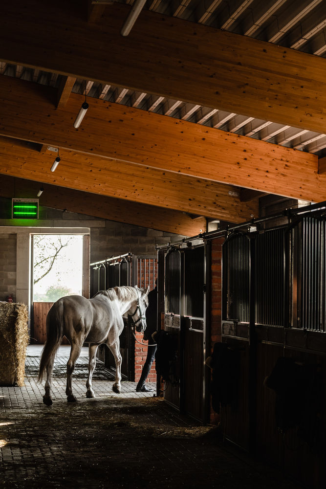 "乡村马厩的现代诠释 | Horse House Stable"