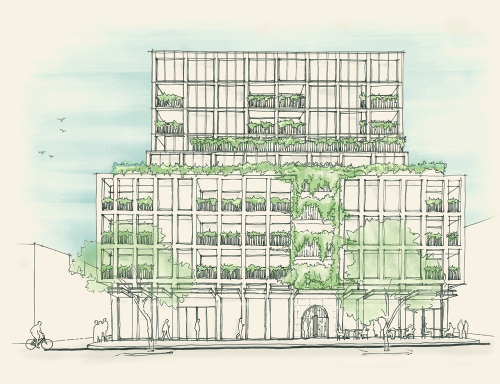 Argyle Square 公寓联排别墅设计融合，打造永恒品质居住空间