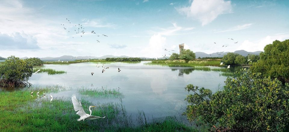 横琴国家湿地公园 | 生态共享的粤港澳大湾区新地标