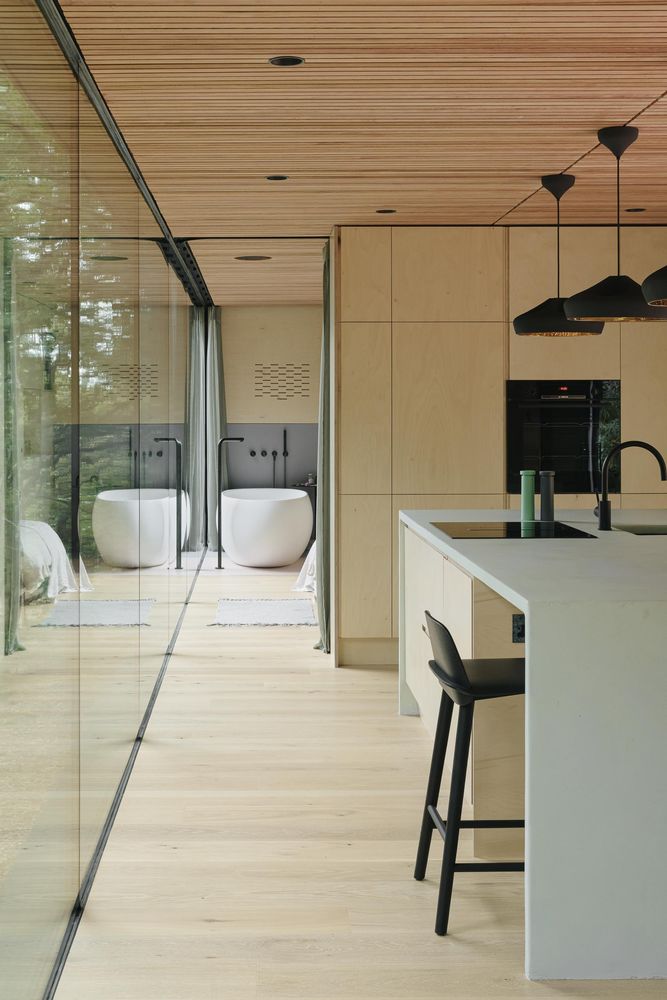 Looking Glass Lodge / Michael Kendrick Architects