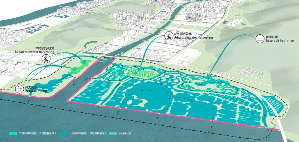 横琴国家湿地公园 | 生态共享的粤港澳大湾区新地标