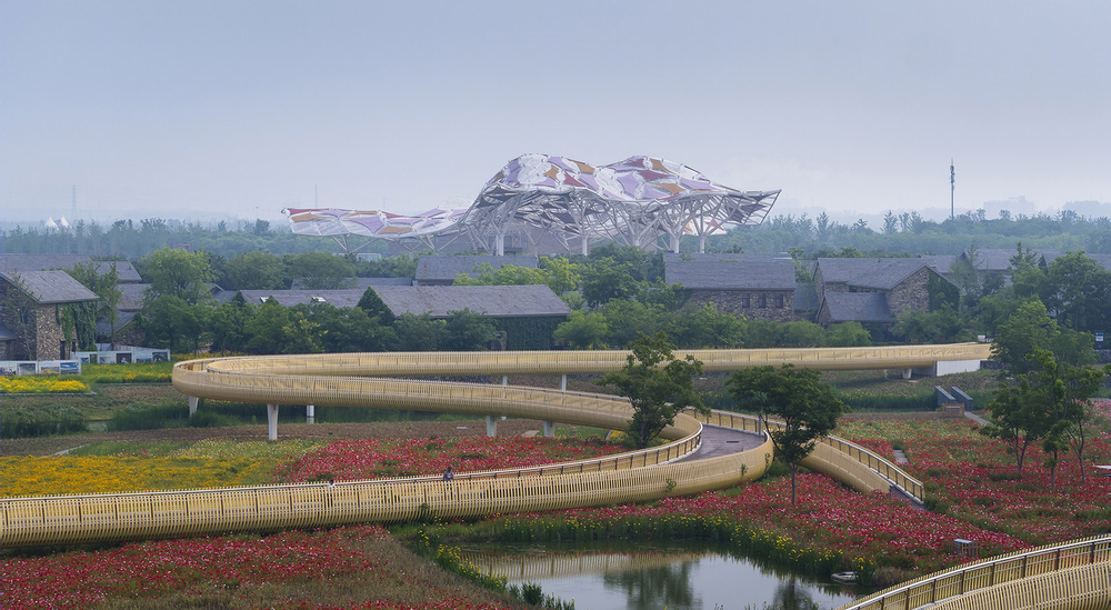 融入无尽花海的露天剧场——宿迁三台山森林公园花田剧场