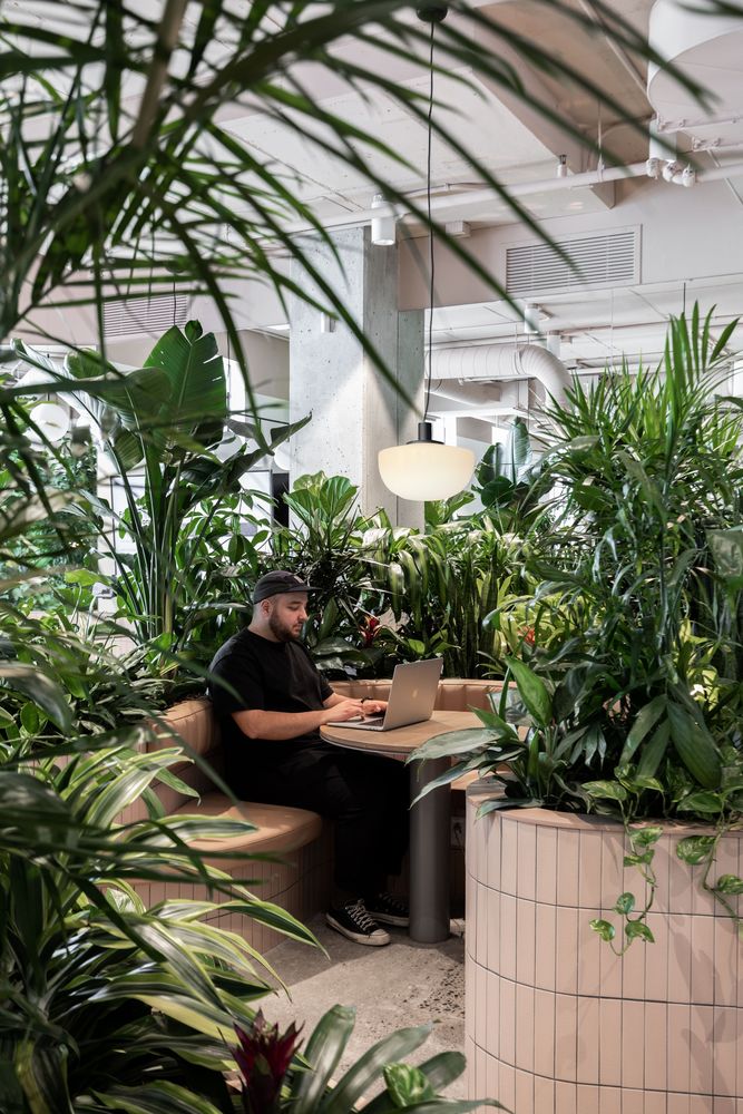 Zendesk 办公室 | Ménard Dworkind Architecture & Design | 2022 | 加拿大