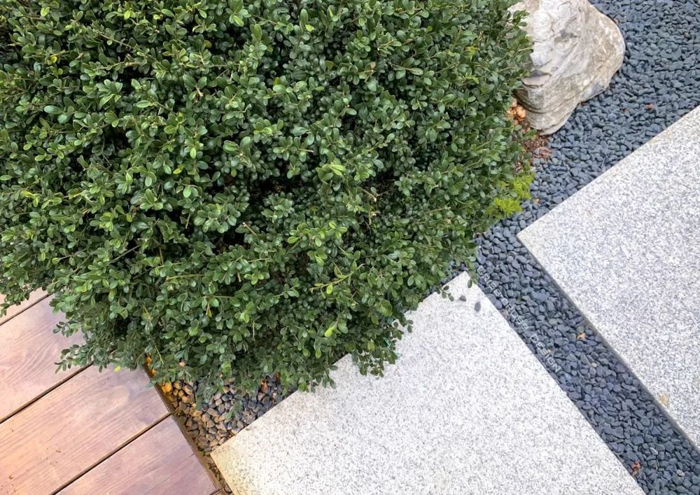 桃李春风庭院 | 现代日式禅意空间