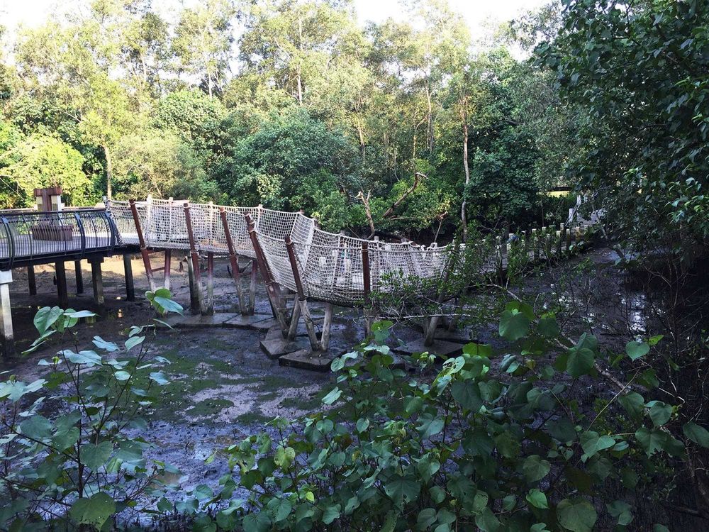新加坡双溪布洛湿地公园 | 保护与休闲的完美结合
