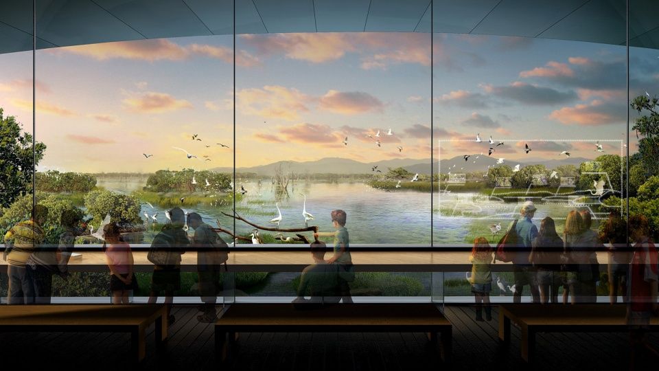 横琴国家湿地公园 | 生态共享的粤港澳大湾区新地标