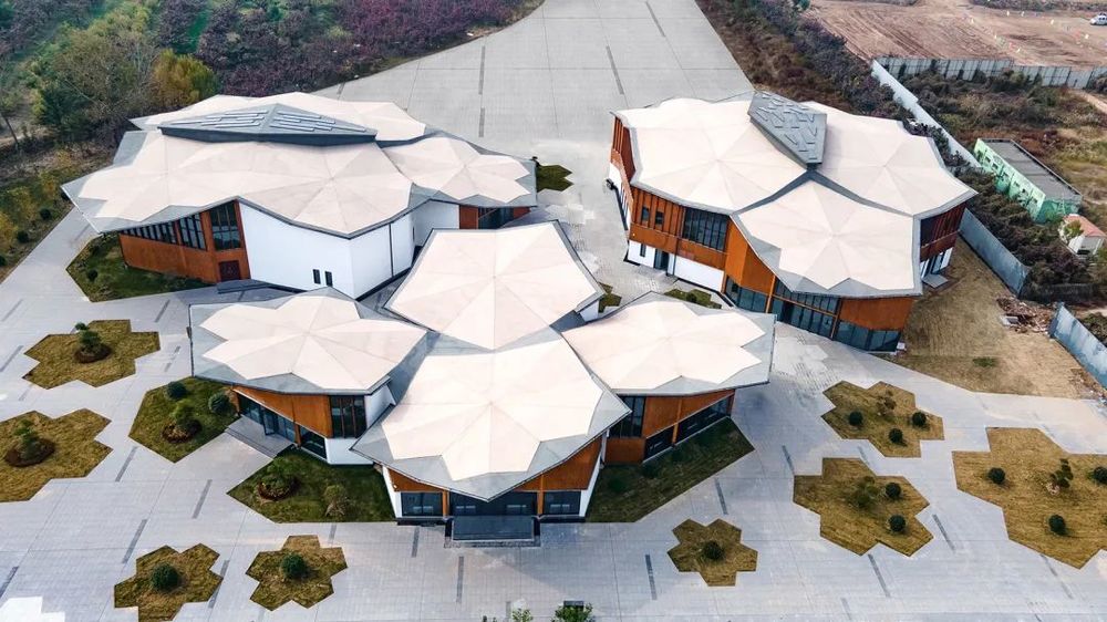 阳信万亩梨园游客服务中心——木结构建筑的诗意绽放