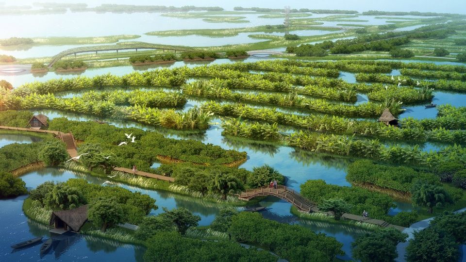 横琴国家湿地公园 | 生态共享的粤港澳大湾区新地标