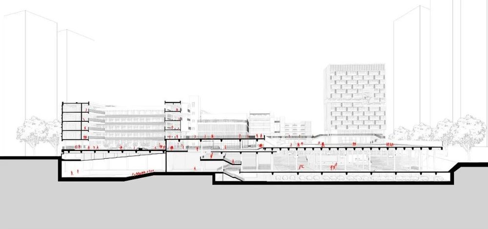 南山麒麟中学改扩建 | 有机链接新旧建筑，活力重塑校园空间