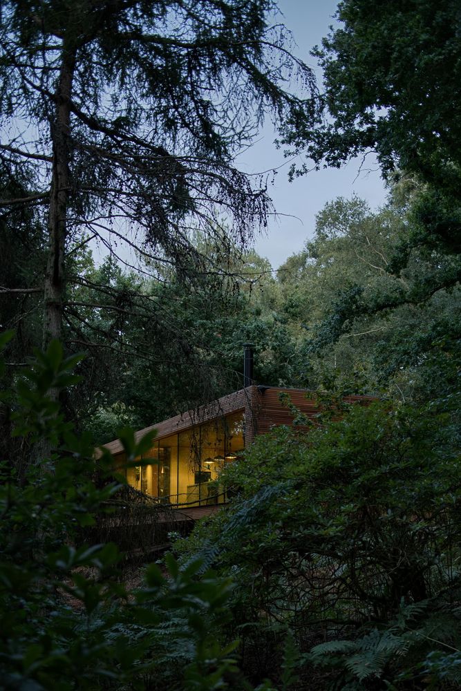 Looking Glass Lodge / Michael Kendrick Architects
