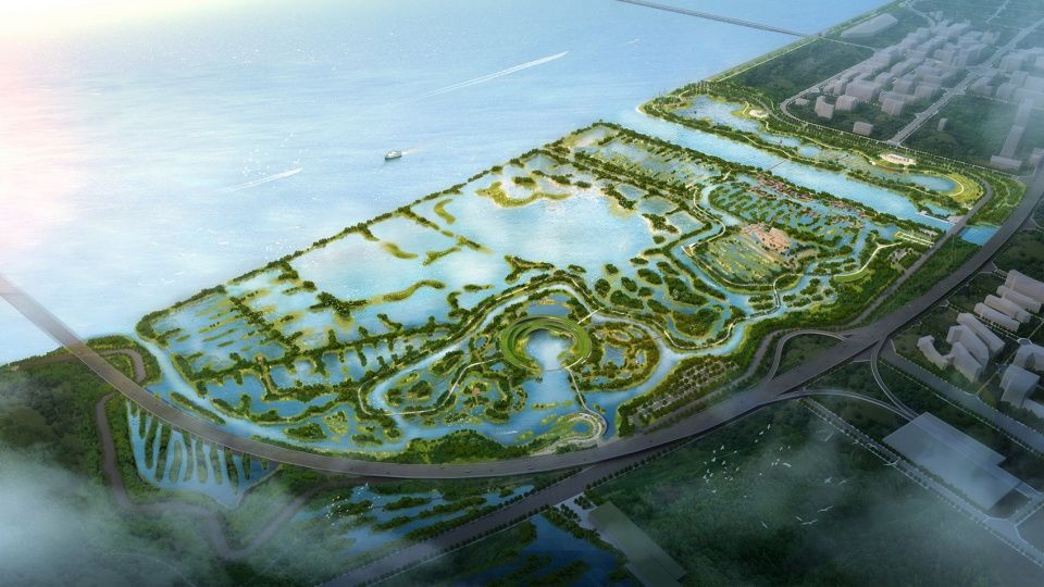 横琴国家湿地公园 | 生态共享的粤港澳大湾区新地标